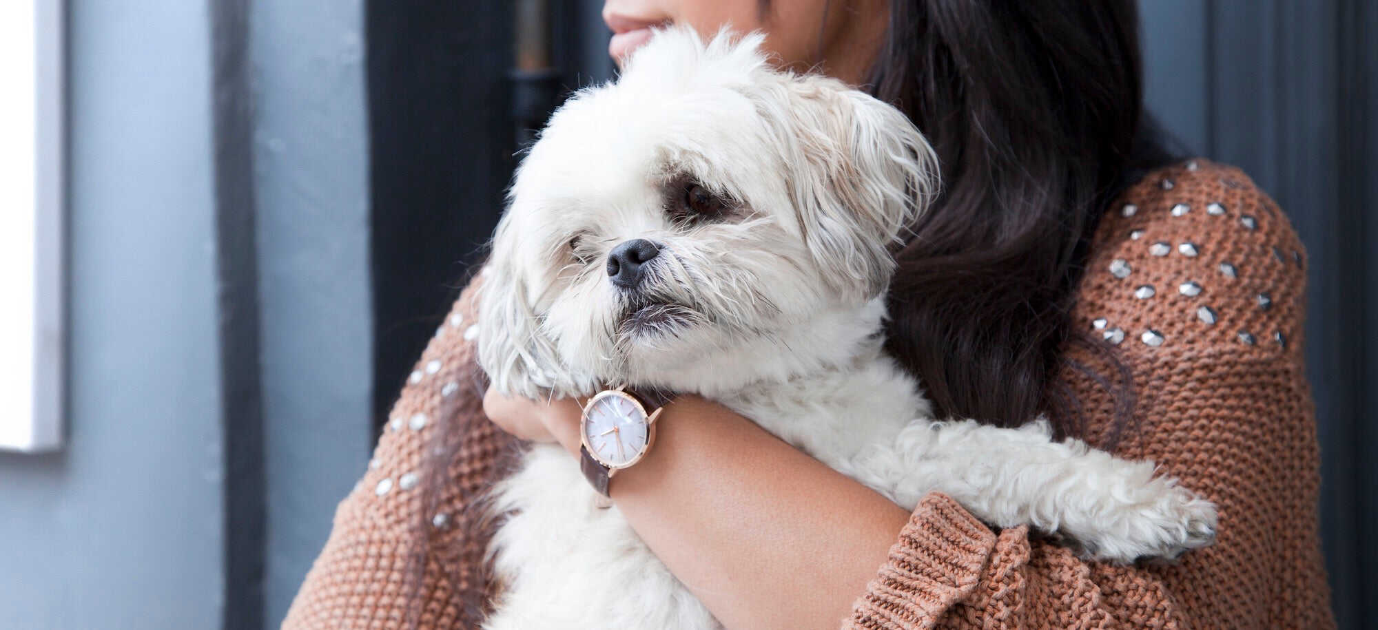Rose Gold & Brown Watch